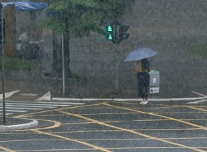 whatsapp-image-2026-02-03-at-11.40.41