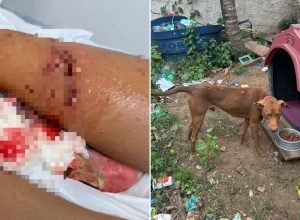 whatsapp-image-2026-02-25-at-08.47.46